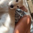 Dumpling
