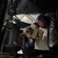Harley