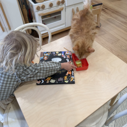 {petName}, a Orange Domestic Longhair Cat