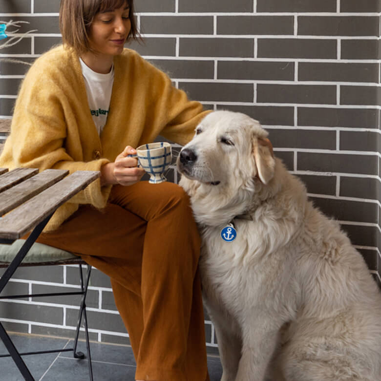 DocuPet Dog
