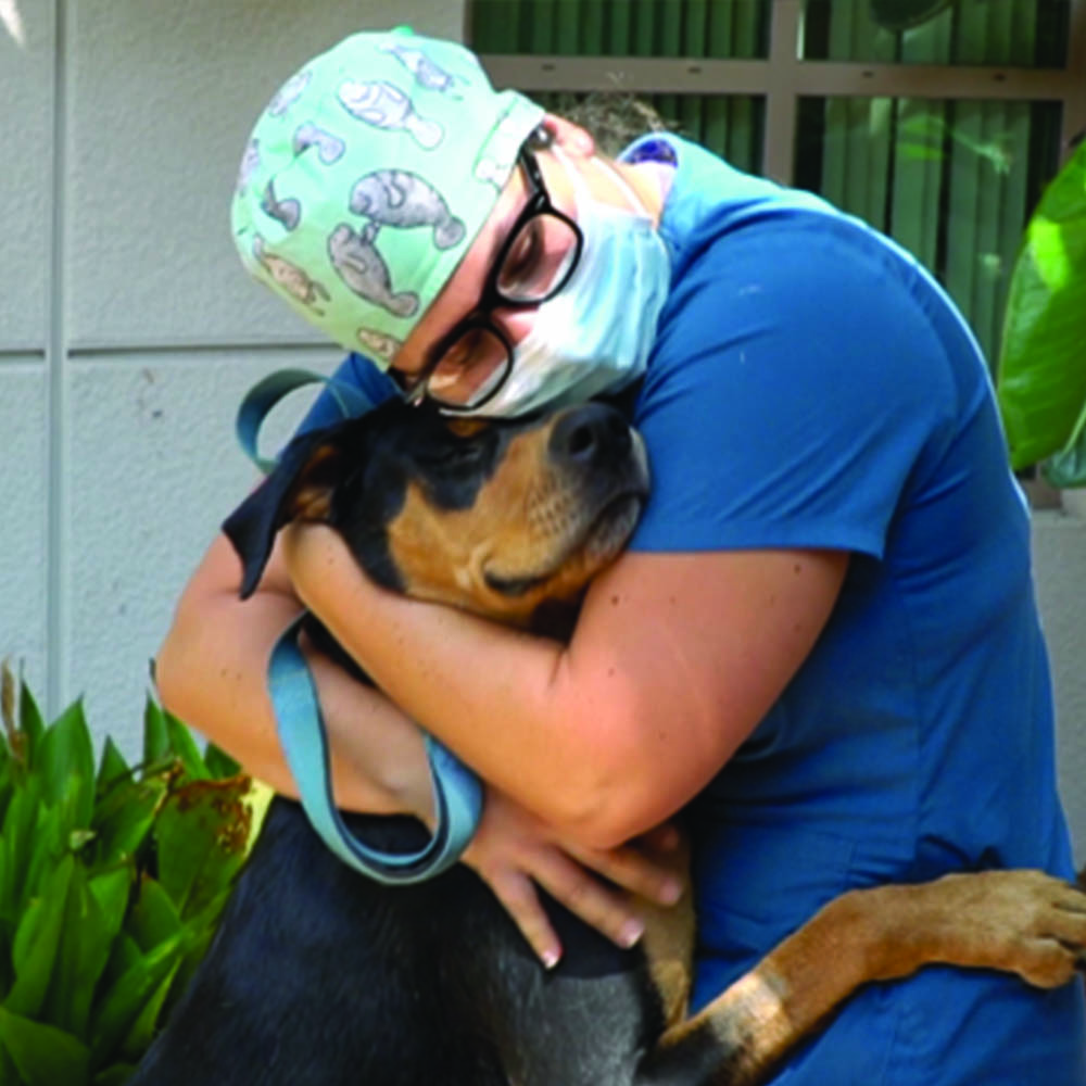 Cayden the dog after his recovery at San Diego Humane Society