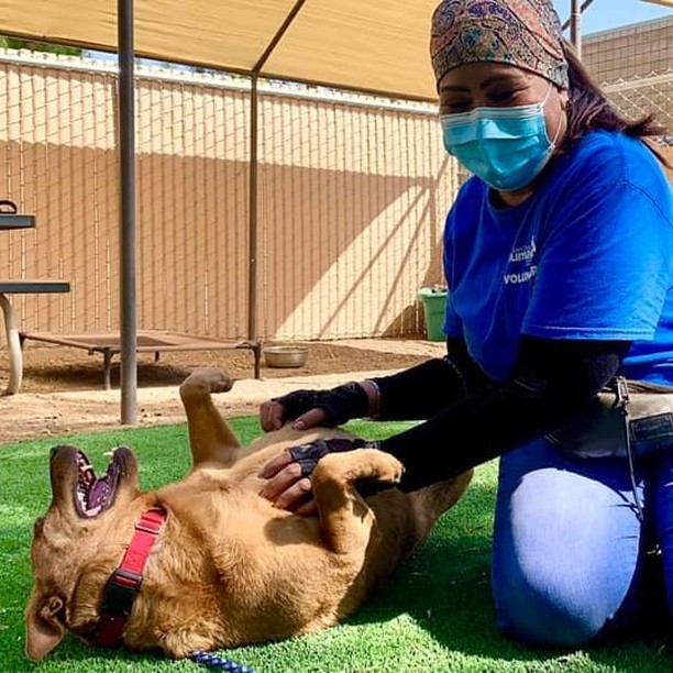 Trainer at San Diego Humane Society